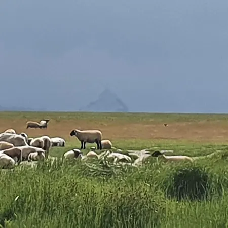 Studio Privatif Et Sa Piscine Aux Agapanthes De Cromel - Le Mont Saint-michel Feriehus