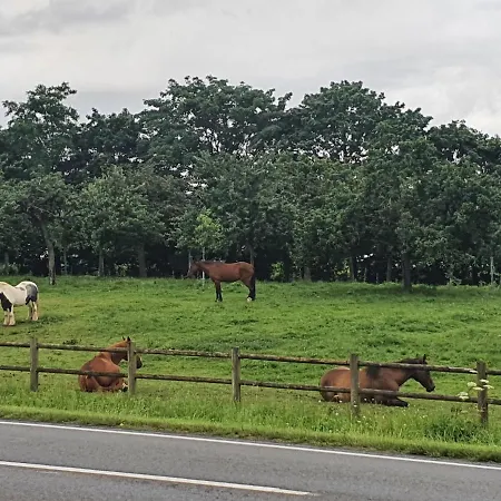 Feriehus Studio Privatif Et Sa Piscine Aux Agapanthes De Cromel - Le Mont Saint-michel