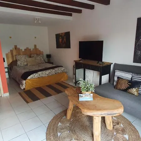 Studio Privatif Et Sa Piscine Aux Agapanthes De Cromel - Le Mont Saint-michel Feriehus