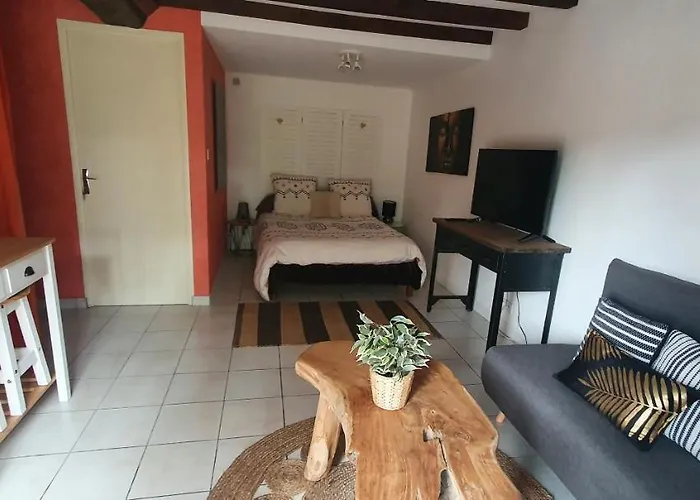 Studio Privatif Et Sa Piscine Aux Agapanthes De Cromel - Le Mont Saint-michel * Saint-Quentin-sur-le-Homme