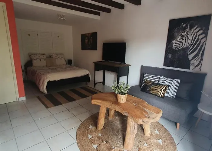 Studio Privatif Et Sa Piscine Aux Agapanthes De Cromel - Le Mont Saint-michel Saint-Quentin-sur-le-Homme