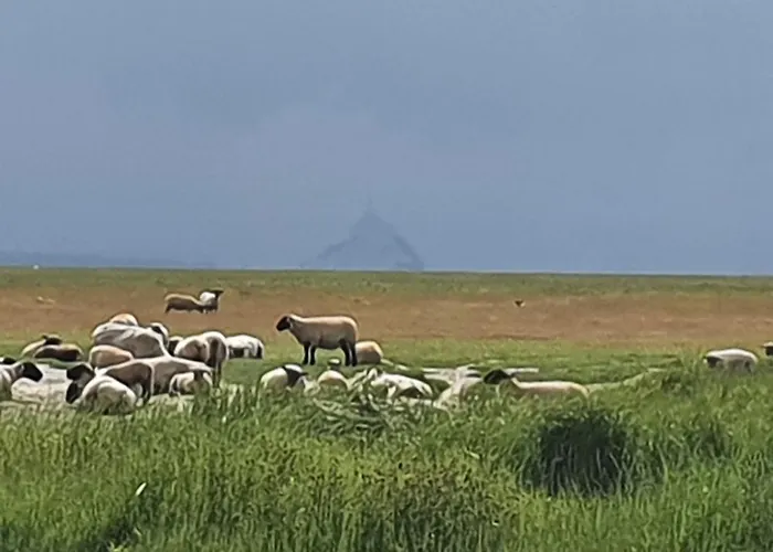 Studio Privatif Et Sa Piscine Aux Agapanthes De Cromel - Le Mont Saint-michel Holiday home