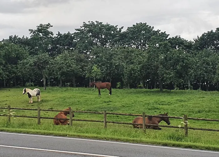 Holiday home Studio Privatif Et Sa Piscine Aux Agapanthes De Cromel - Le Mont Saint-michel
